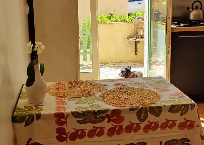En Amoureux, Cocktail De Bienvenue Sur Notre Terrasse Provençale Hyères